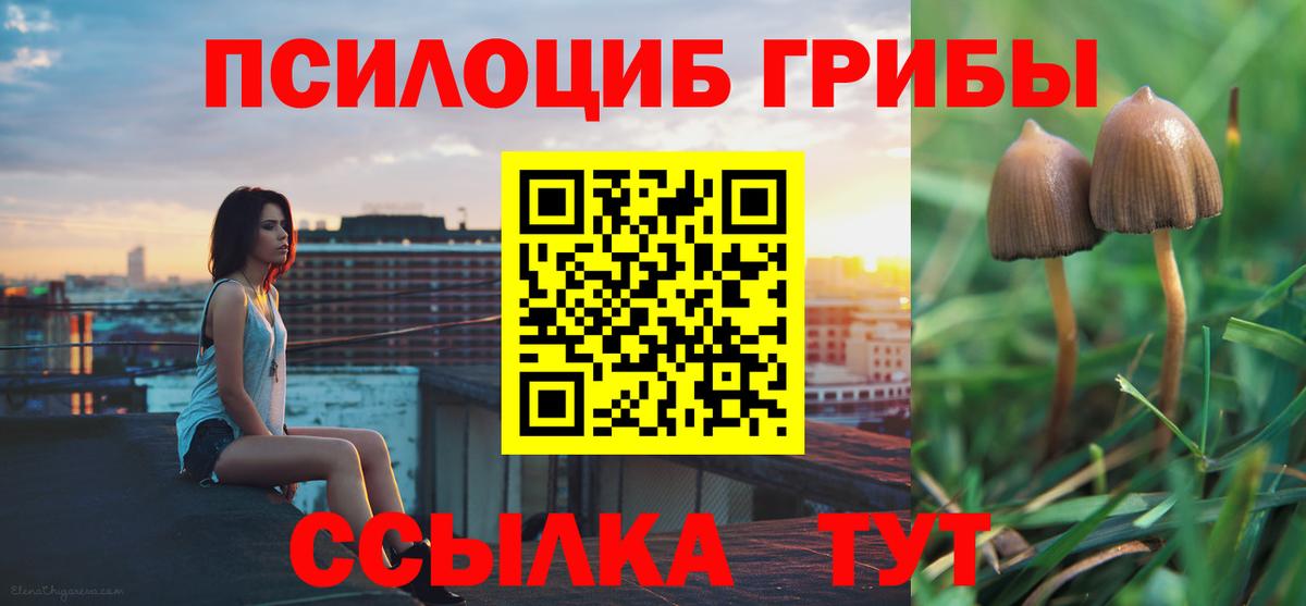 Галлюциногенные грибы Magic Shrooms  Вход с VPN  где найти наркотики  Донской 